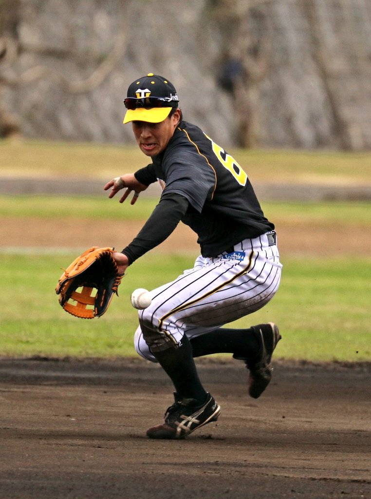 Ueda6 Hanshin Tigers English News